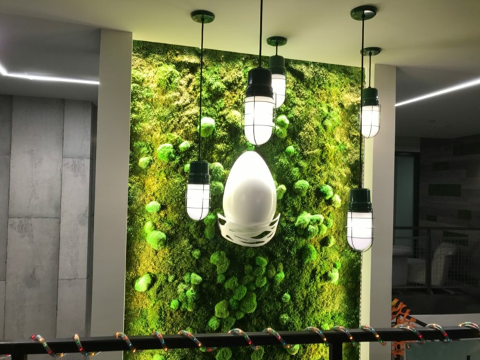 création d'un mur végétal intérieur en mousse, lampes industrielles, intérieru moderne