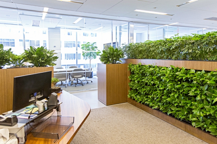 panneau végétal dans l'office, décoration vivante et verte, grand office lumineux