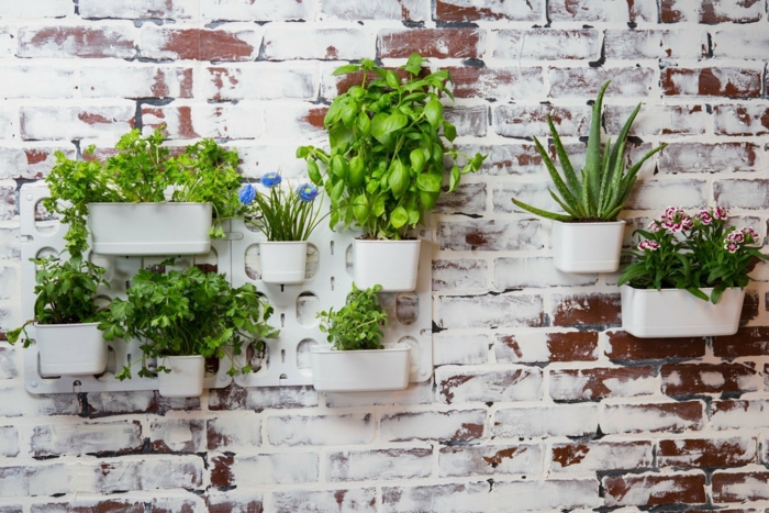 mur en briques peint blanc avec des pots suspendus, plantes vertes plantées 