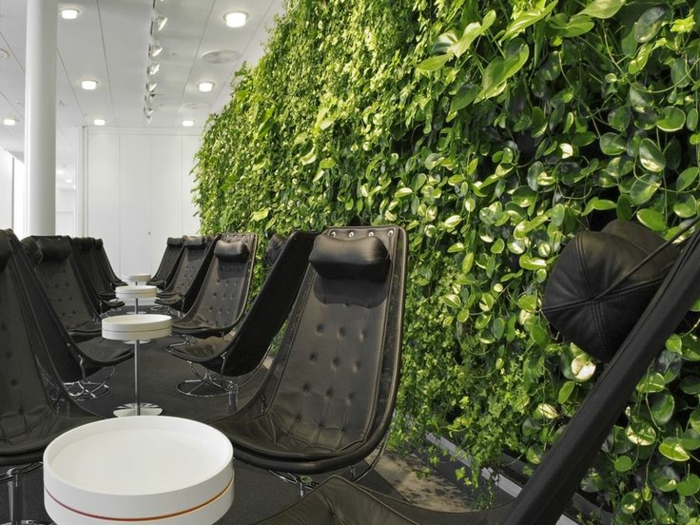 mur végétalisé intérieur, chaises noires, plafond blanc, lampes encastrés