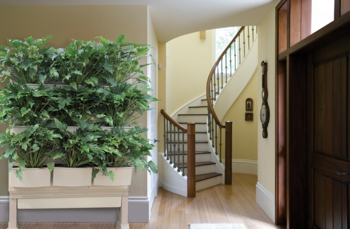escalier tournant, jardinières disposées verticalement, maison en couleurs claires