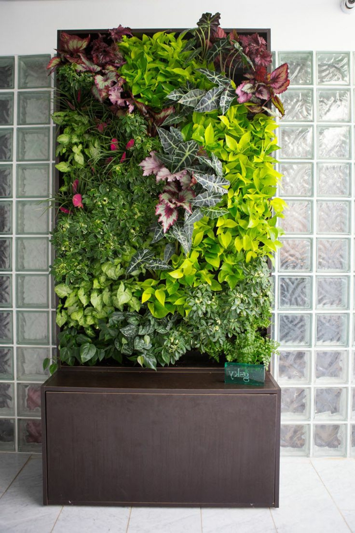un cadre avec des plantes vivantes, mur végétalisé préfabriqué, décoration pour l'intérieur