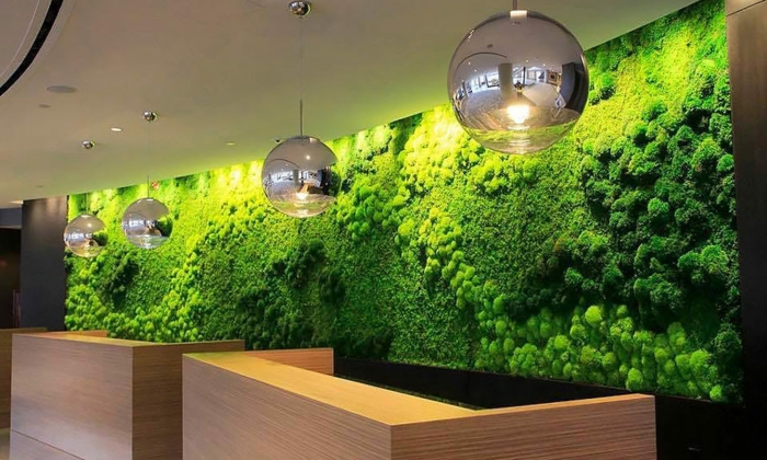 intérieur moderne avec un mur vegetal, lampes globes suspendus, offices modernes