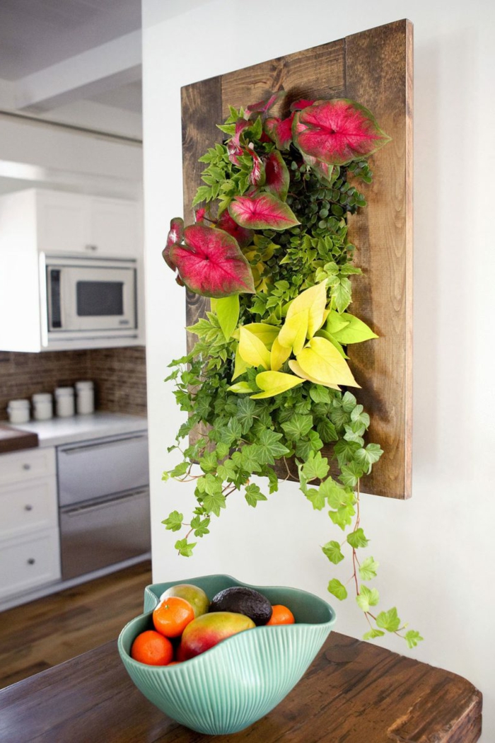 panneau en bois avec des plantes vivantes, idée dé déco originale dans la cuisine