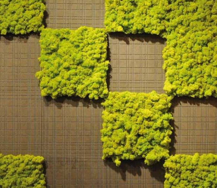 joli mur vegetal en mousse en forme de carrés collés au mur, décoration vivante