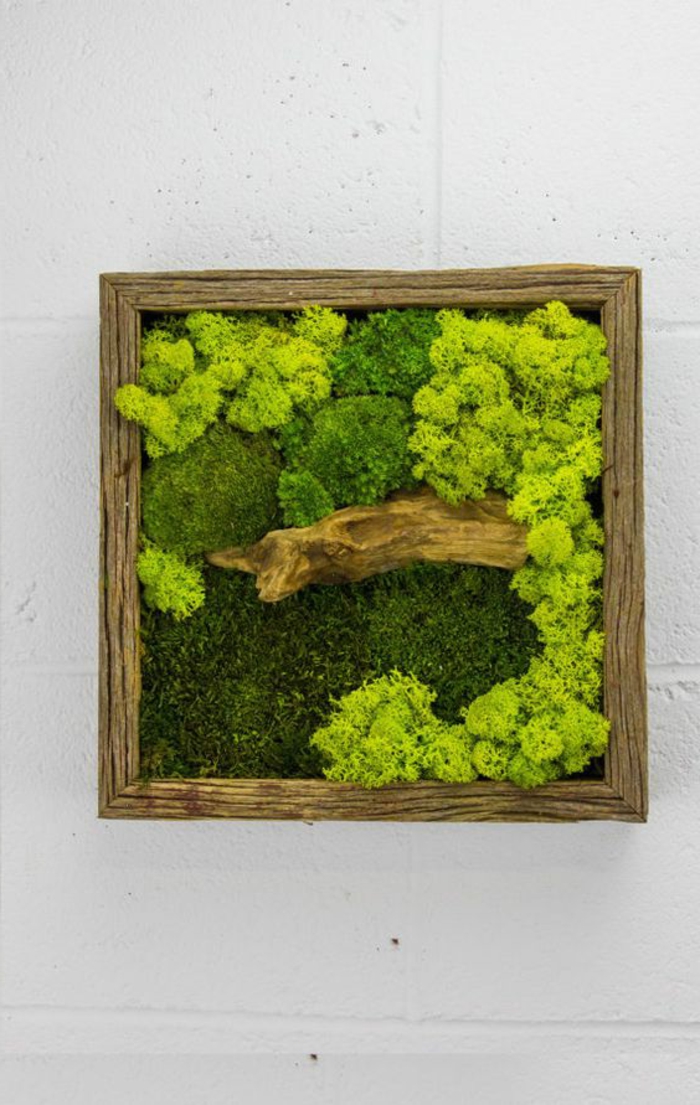 création de petit mur vegetal avec cadre en bois et mousses, idée déco peinture vivante