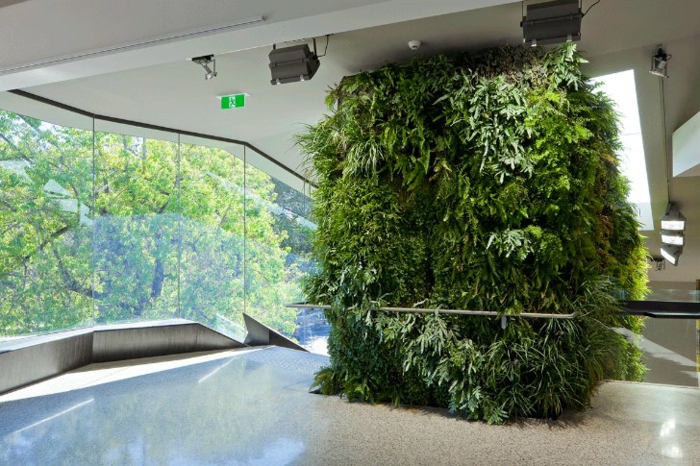 grande maison contemporaine, mur végétalisé intérieur, mur transparent