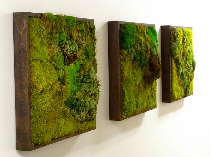 trois panneaux vivants avec de la mousse, créer des peintures vivantes et apporter des notes nature à l'intérieur