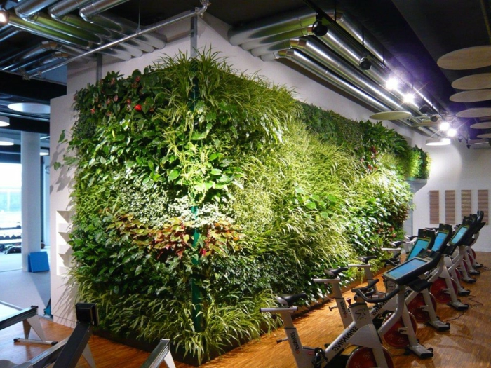 grand fitnesse avec un grand mur végétalisé, projets éco pour l'intérieur des bâtiments