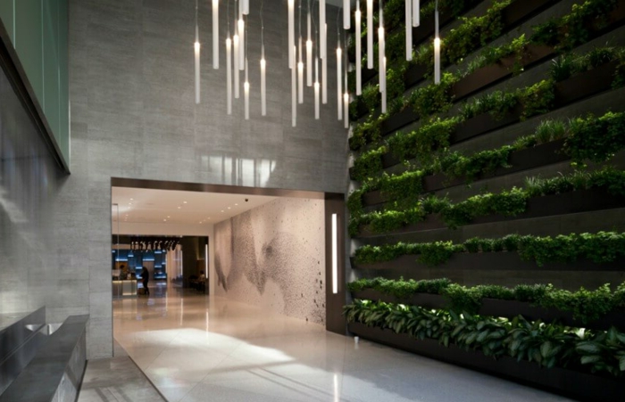 lampes suspendues, béton gris, architecture minimaliste et murs en béton, murs végétalisés