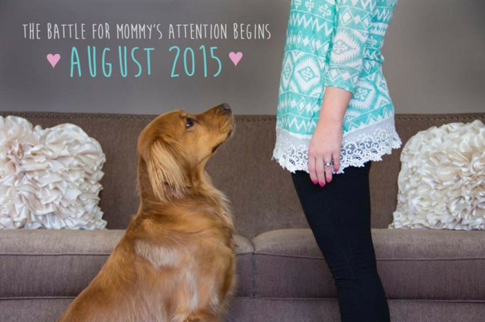 comment faire une annonce grossesse originale, photo du chien et de la future maman