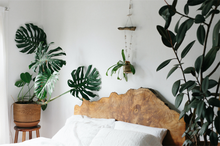 une véritable ambiance nature dans la chambre à coucher avec une tete de lit bois brut et une déco de plantes vertes