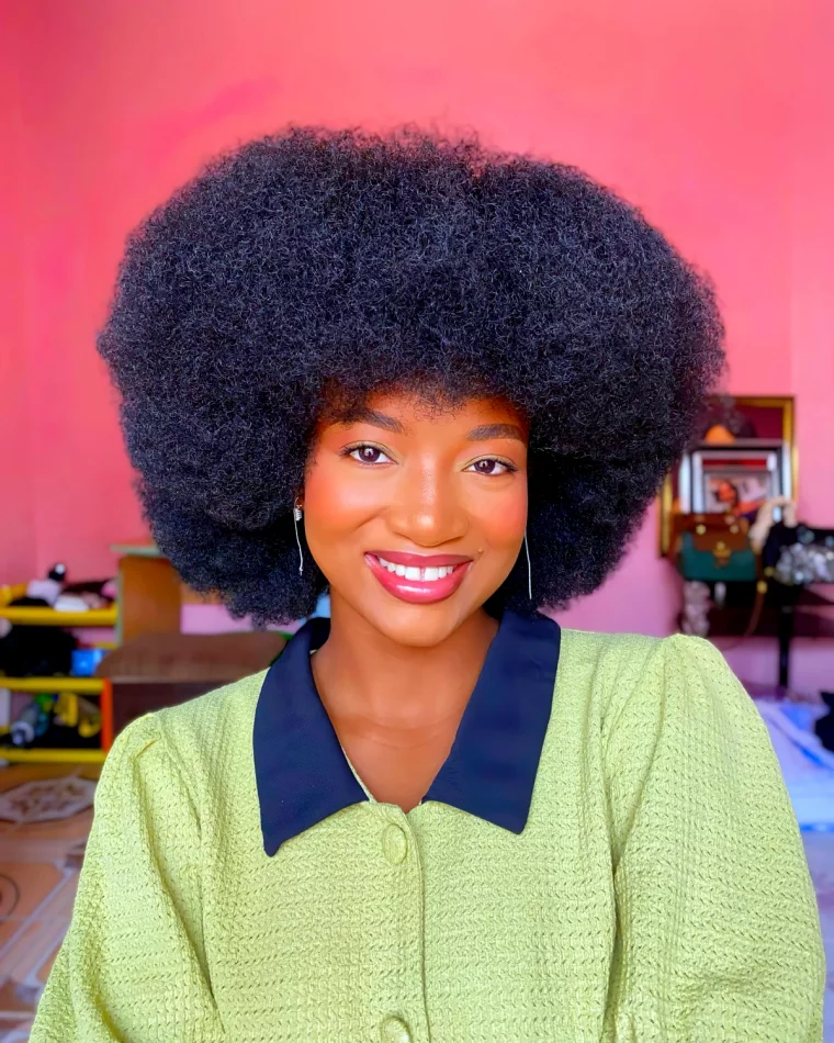 coiffure tendances pour une coupe afro