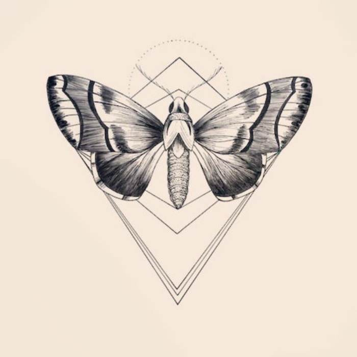 Photo de dessin géométrique avec explication dessiner papillon