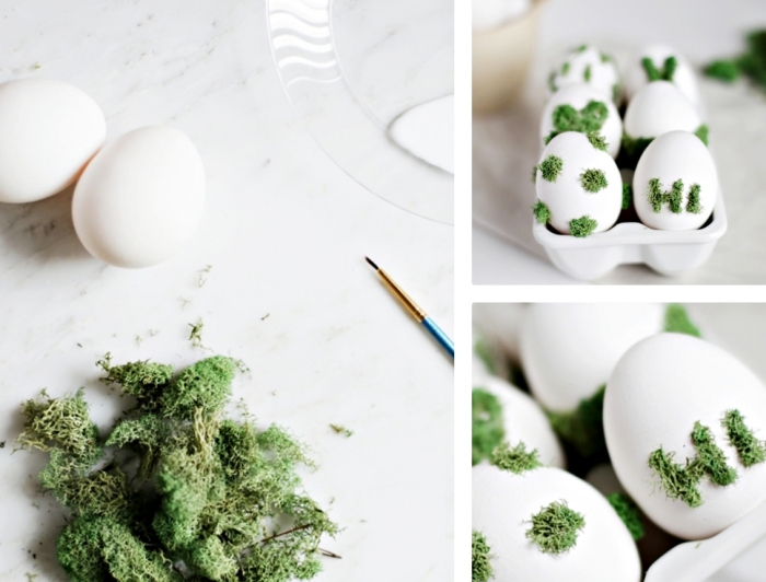 comment décorer les oeufs de coquille blanche avec mousse verte en utilisant colle et pinceau fine, arranger les oeufs dans un carton blanc