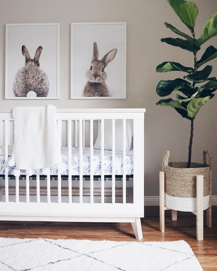 photos de lapin beige dans cadres blancs accrochés sur mur beige, deco chambre fille ou garçon avec plante verte et tapis blanc