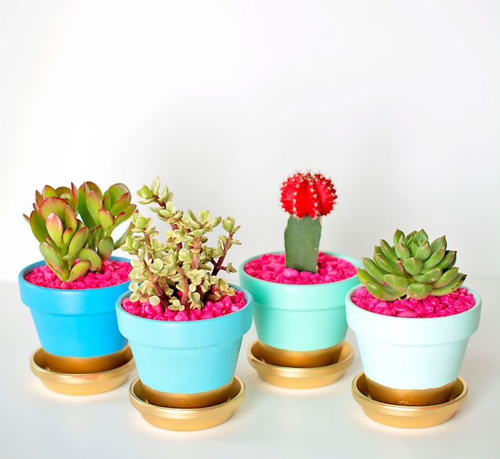 pot de fleur en terre cuite décoré de peinture bleue et fond et sous coupe en or avec des cactus et succulents à l intérieur, activité créative jardin
