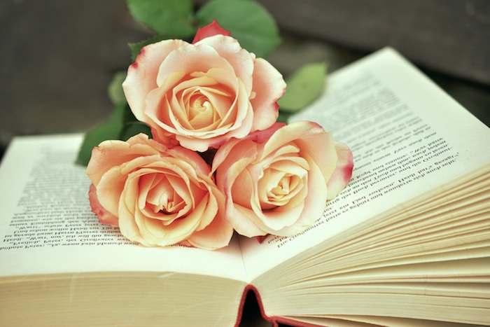 Décoration de bureau image de fleur fond d écran jolie roses sur livre
