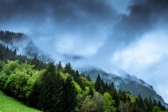 wallpaper fond d écran de la nature, photo de brouillard et nuages grises au dessus des montagnes et des forets à arbres conifères
