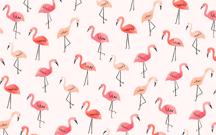 Joli fond d'écran simple fond ecran ordinateur fond d'écran flamingos