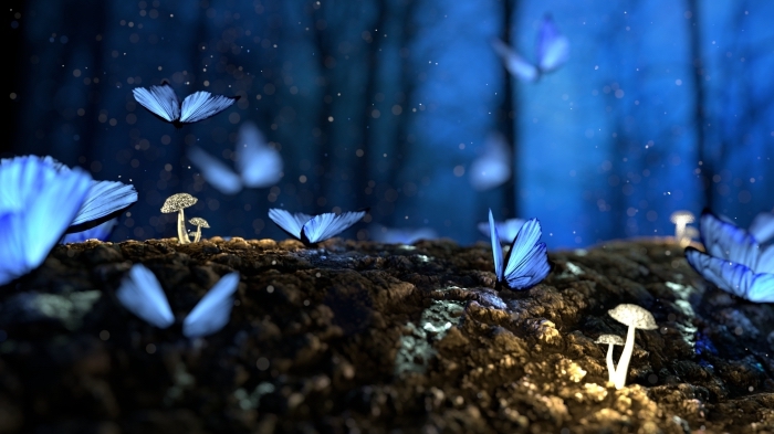 les plus beau fond d écran, image digitale avec papillons volants de couleur bleue qui illuminent la forêt pendant la nuit