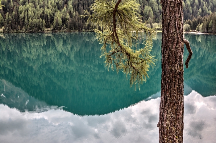 wallpaper fond d écran naturel avec paysage vert au bord d'un lac et forêt d'arbres conifères, paysage de lac aux reflets du ciel