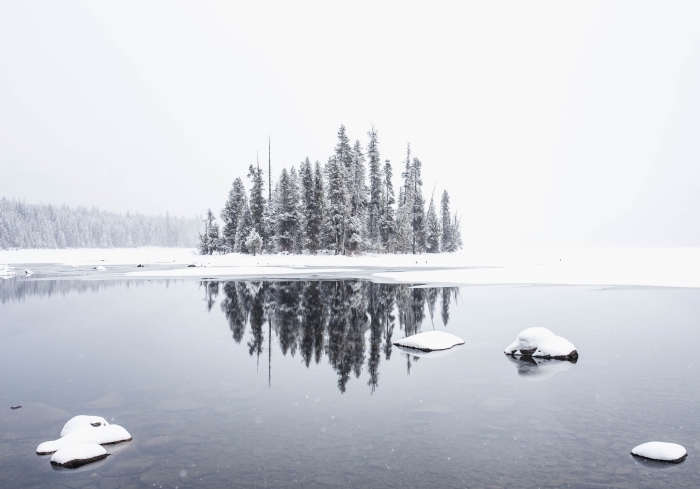 fond d écran magnifique avec une photo de la nature enneigée, petite foret au bord d'un lac avec brouillard et neige