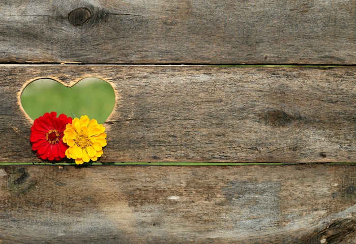 Coeur trou de banc en bois avec fleurs photos martinique fond d'écran image