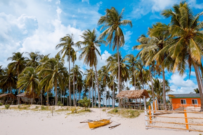 fond d écran wallpaper exotique, photo d'ile tropicale au ciel bleu et palmiers sur la plage au sable doré avec petite maison de bois