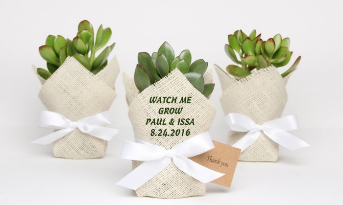 fleur et plante verte avec emballage beige et ruban blanc dans petit pot pour un cadeau invité vert avec note de remerciement