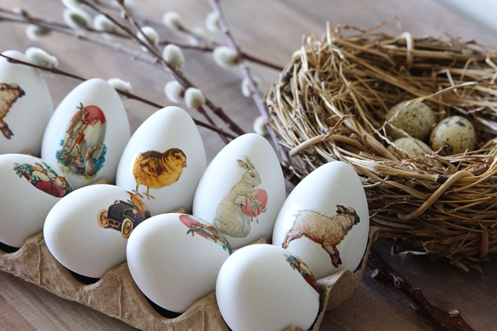 modèles d'oeufs à coquille blanche décorés avec stickers autocollants à motifs lapins et poulet de paques