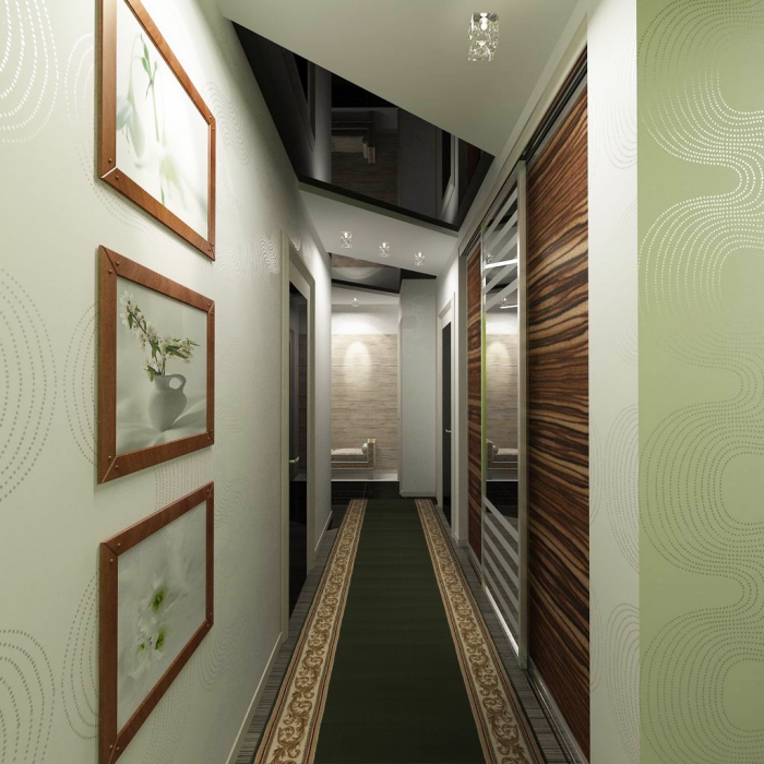 idée peinture couloir et entrée aux murs vert clair et plafond blanc avec éclairage led et fenêtre de plafond a verre noire