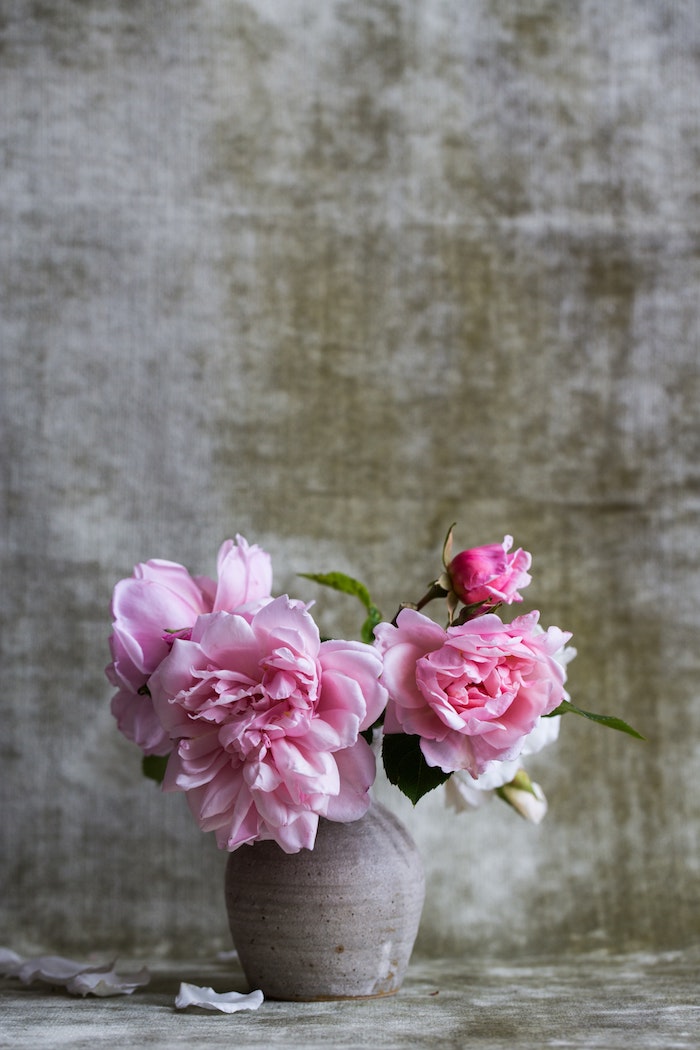 Rose fond d'écran fond d'écran iphone fleur image beauté vase avec pivoines