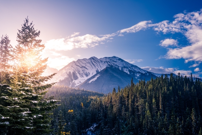 photo des montagnes enneigées, fond d écran gratuit avec forêt d'arbres conifères et colline enneigée au lever du soleil