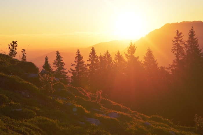 image fond d écran au lever de soleil, photo naturelle avec montagnes et forêt d'arbres conifères illuminés par les rayons du soleil