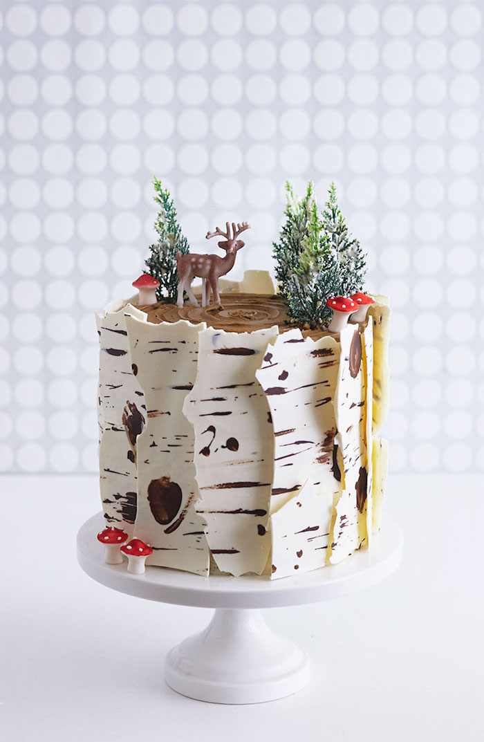 Idée gateau chocolat gâteau d'anniversaire au chocolat idée gâteau anniversaire enfant 5 ans nature thème