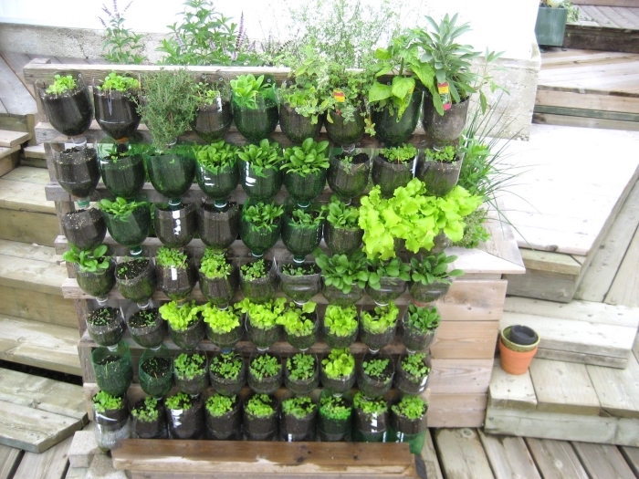exemple de potager en hauteur avec semis de légumes variétés salades, comment faire un petit jardin en ville