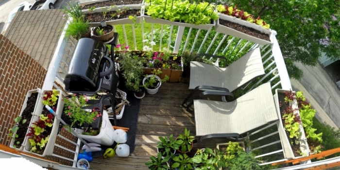 superbe décoration de balcon ou terrasse avec un coin barbecue transats et plusieurs plantes comestibles en pots