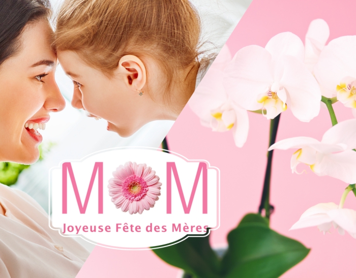 trouver la meilleure idée cadeau fête des mères pour surprendre sa maman avec fleurs ou objets de valeur sentimental ou fonctionnel