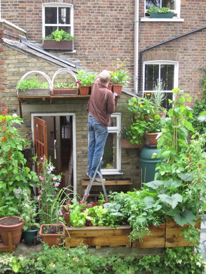 transformation de terrasse en mini potager avec légumes et aromatiques en pots, soins de jardinage en ville