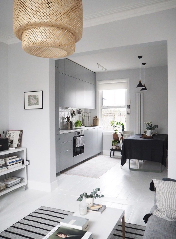petite cuisine gris clair mat de style scandinave aménagée en longueur, qui semble se fondre dans le salon grâce à sa simplicité extérieure