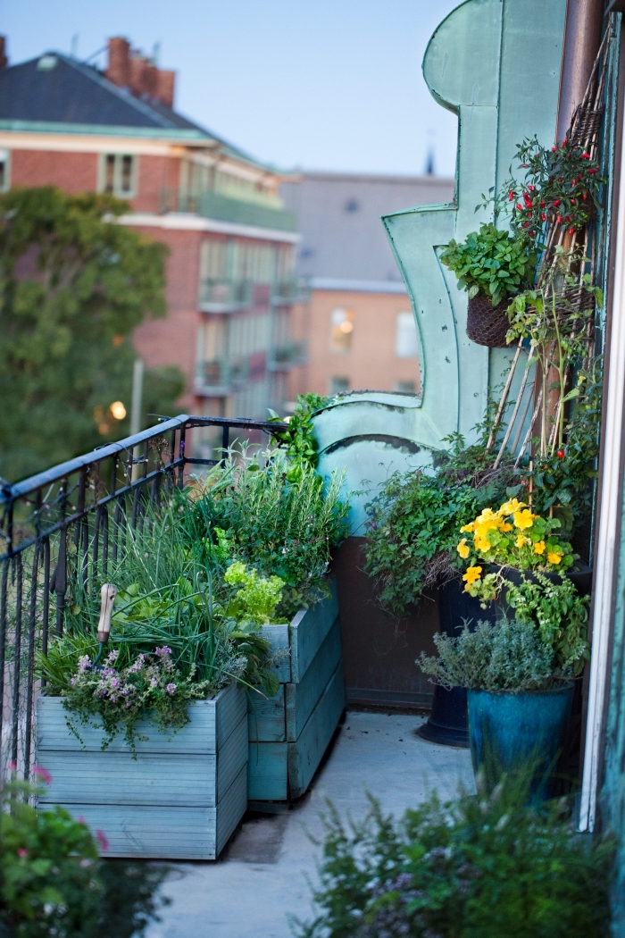 magnifique petit balcon transformé en mini jardin avec plantes comestibles légumes et aromatiques, cultivation légumes en pots