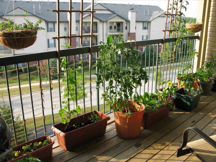 choix plante balcon pour créer un mini jardin urbain avec légumes et aromatiques, déco de terrasse avec plancher de bois