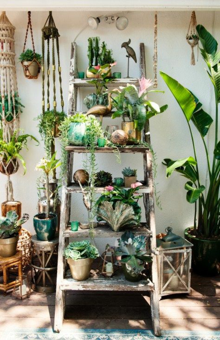 décorer son jardin avec une grande échelle, marches recouvertes de pots de plantes vertes, pots suspendus au plafond de la pergola
