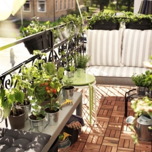 Potager balcon ou terrasse - solution idéale pour cultiver son mini jardin en ville