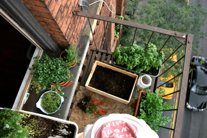 idée transformation balcon en mini jardin urbain avec légumes et aromatiques cultivés dans pots et jardinières