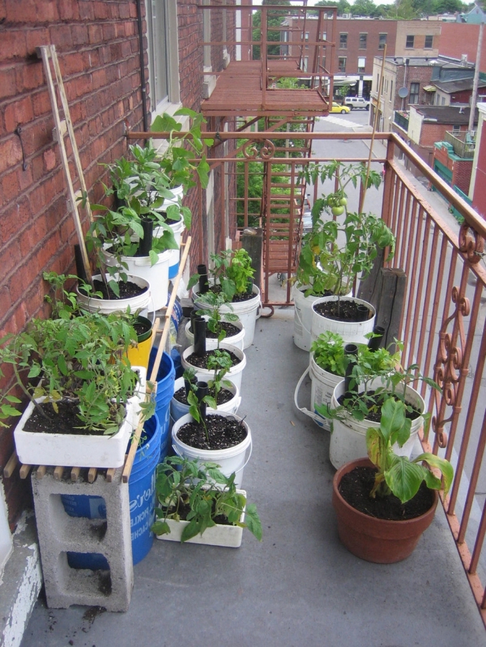 créer un potager sur le balcon avec rangement horizontale de légumes en pots, comment cultiver tomates cerises en appartement