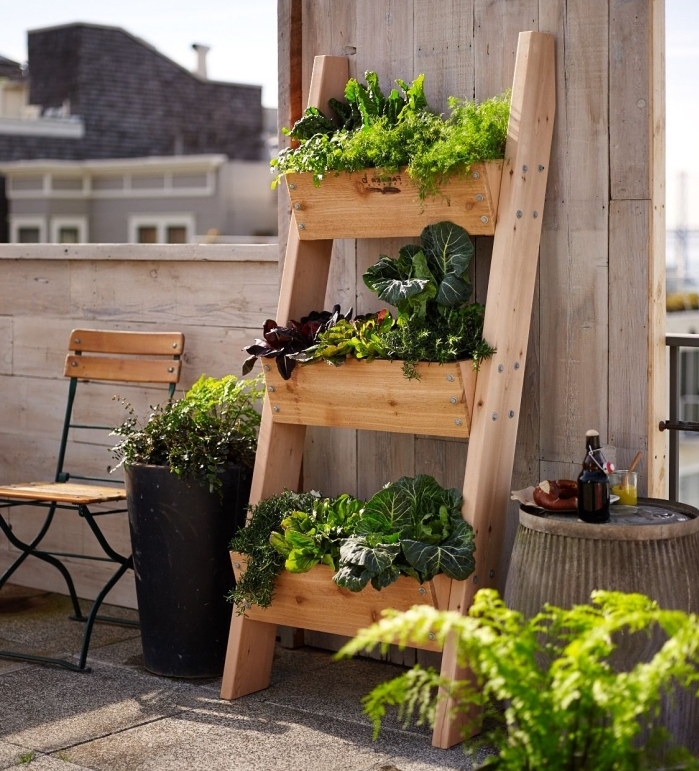 exemple de potager en hauteur dans jardinières en bois en forme échelle décorative, aménagement terrasse avec plantes comestibles