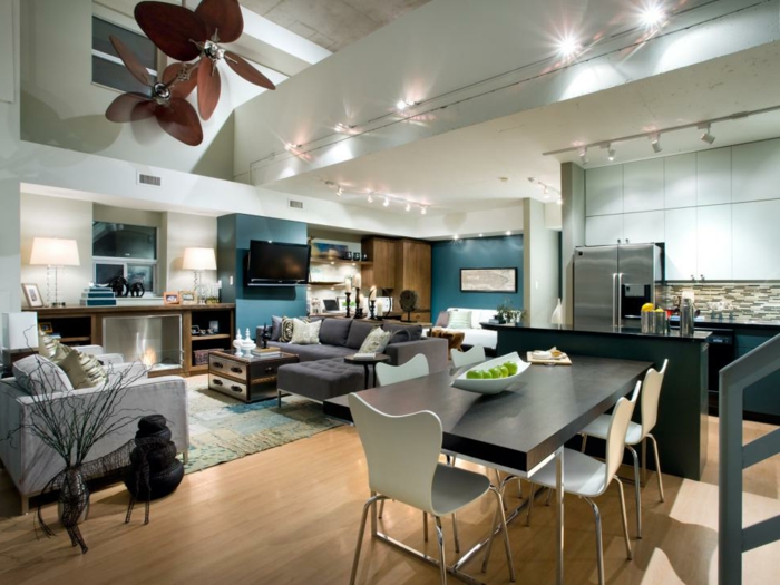 petit appartement équipé, cuisine, salle à manger et séjour, installation lumineuse au plafond, intérieur bien organisé