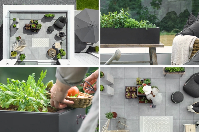 organisation et rangement de terrasse avec mobilier de jardin et plantes comestibles, cultivation de carottes sur le balcon